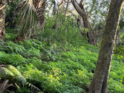12600 SW Conners Highway Okeechobee FL 34974