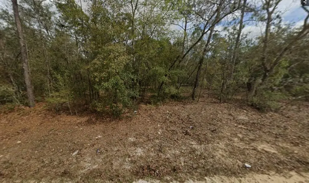 Lot 28 Janet Avenue Interlachen FL 32148