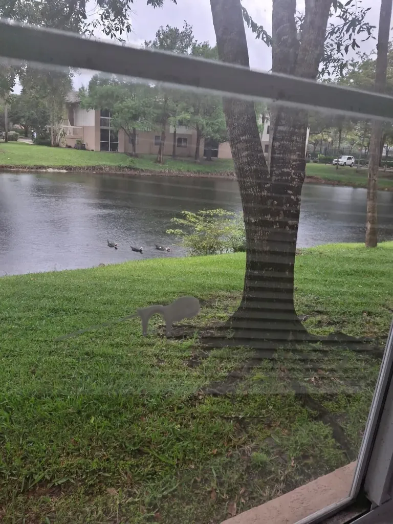 9833 Westview Drive Coral Springs FL 33076