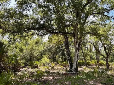 1116 Belmonte Drive Indian Lake Estates FL