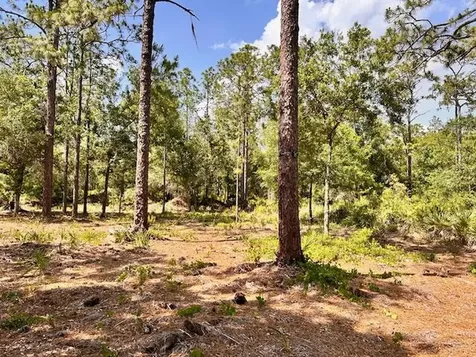 1116 Belmonte Drive Indian Lake Estates FL