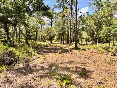 1116 Belmonte Drive Indian Lake Estates FL