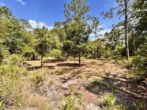 1116 Belmonte Drive Indian Lake Estates FL