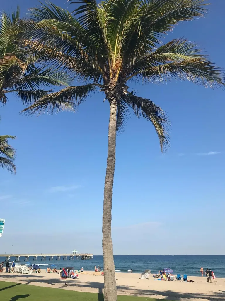 3008 Lake Shore Drive Deerfield Beach FL 33442