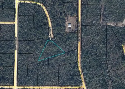 0 Andrew Marianna FL 32448