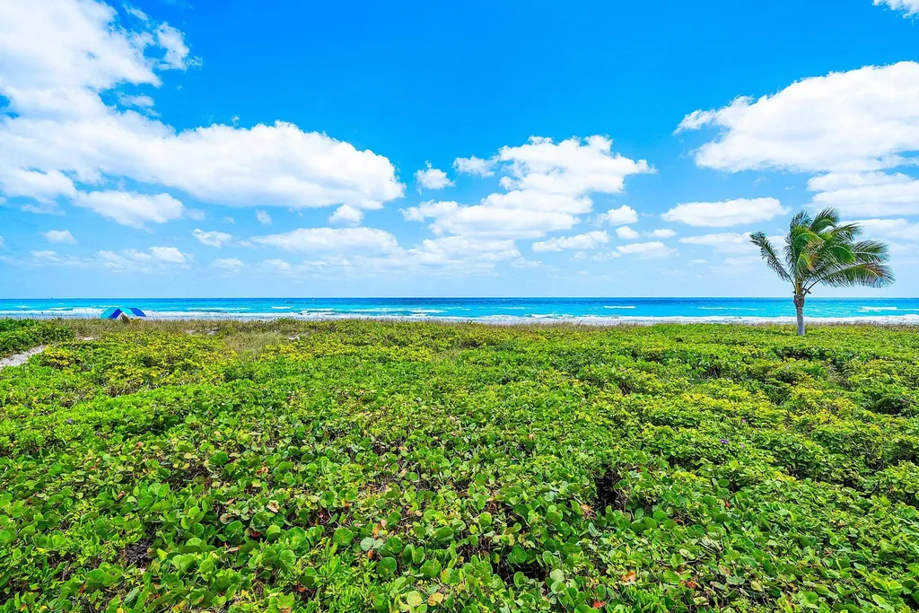 2155 S Ocean Boulevard Delray Beach FL 33483