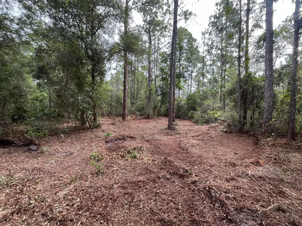 122 Glenside Street Georgetown FL 32139