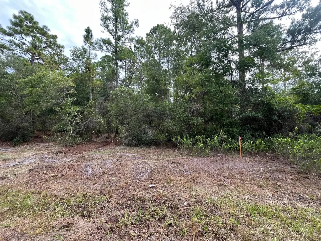 122 Glenside Street Georgetown FL 32139