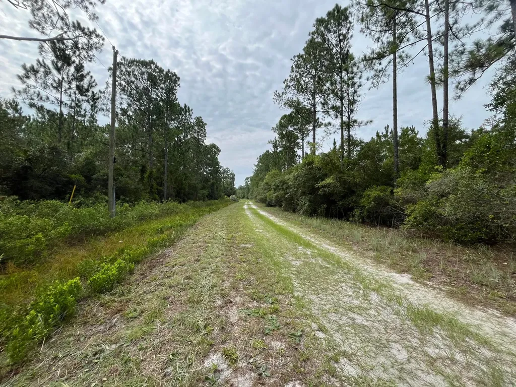 122 Glenside Street Georgetown FL 32139