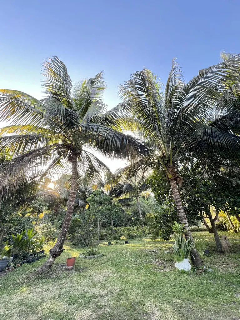 17254 32nd Lane N The Acreage FL 33470
