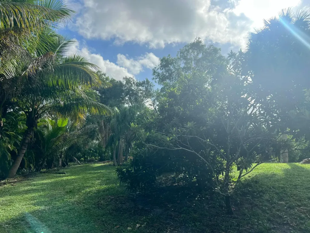 17254 32nd Lane N The Acreage FL 33470