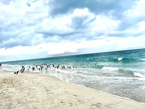 3400 N Ocean Drive Singer Island FL 33404