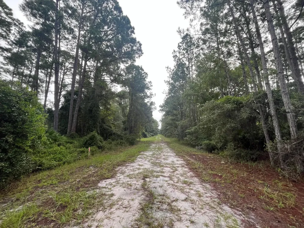 119 Gardenia Avenue Georgetown FL 32139