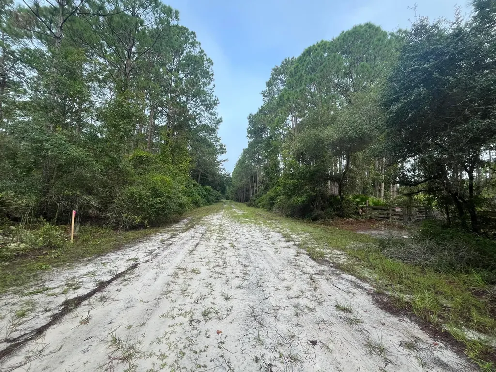 119 Gardenia Avenue Georgetown FL 32139