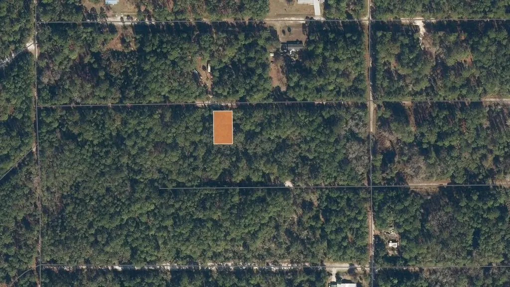 119 Gardenia Avenue Georgetown FL 32139