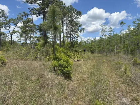 0 Holopaw Groves Road St. Cloud FL 34772