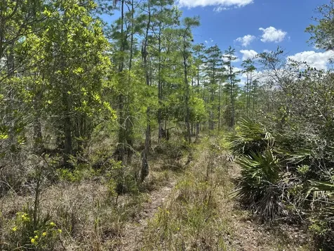 0 Holopaw Groves Road St. Cloud FL 34772