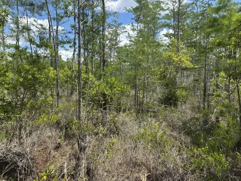 0 Holopaw Groves Road St. Cloud FL 34772
