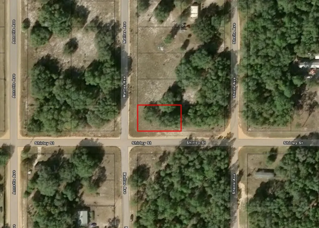 0 Shirley Street Interlachen FL 32148