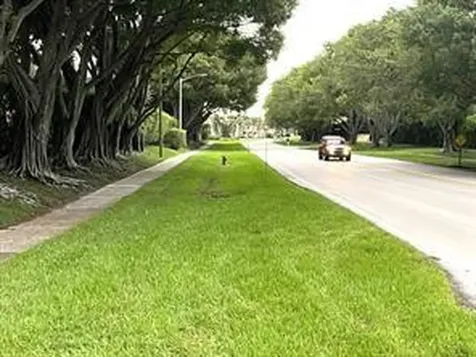 9807 Pavarotti Terrace Boynton Beach FL 33437