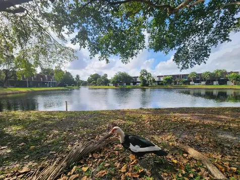 1504 NW 89th Terrace Pembroke Pines FL 33024