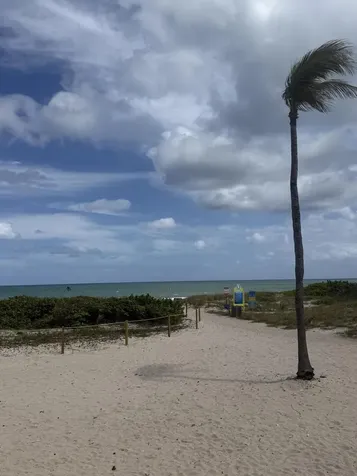 2000 S Ocean Boulevard Lauderdale By The Sea FL 33062