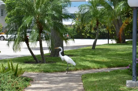 6367 Bay Club Drive Fort Lauderdale FL 33308