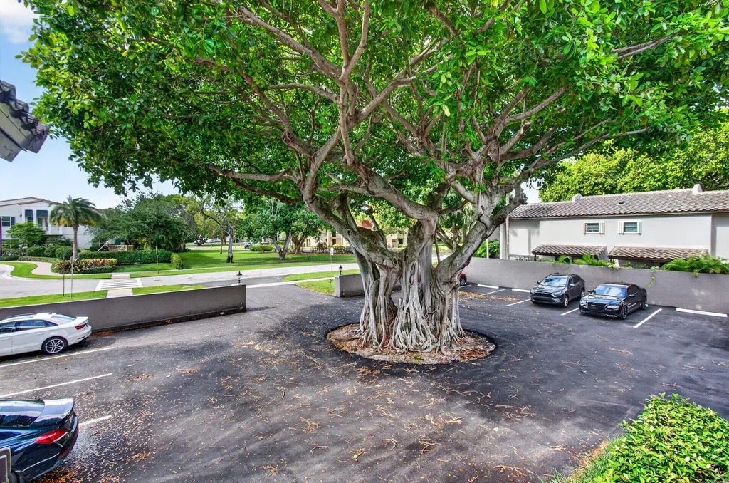 149 NW 70th Street Boca Raton FL 33487