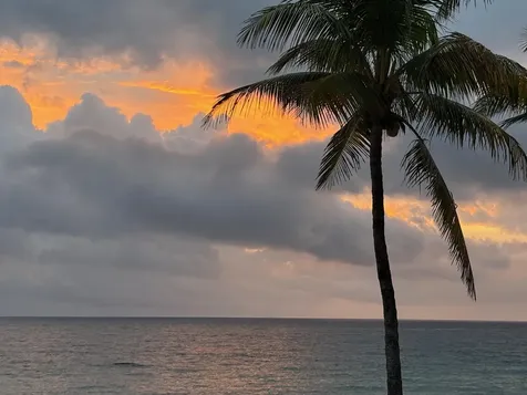 6000 N Ocean Boulevard Lauderdale By The Sea FL 33308