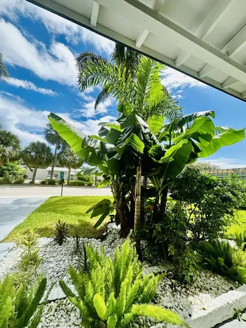 5365 N Andrews Avenue Oakland Park FL 33309