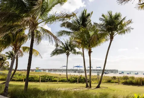3361 NE 13th Terrace Pompano Beach FL 33064
