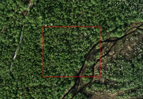 0 Holopaw Groves Road St. Cloud FL 34772