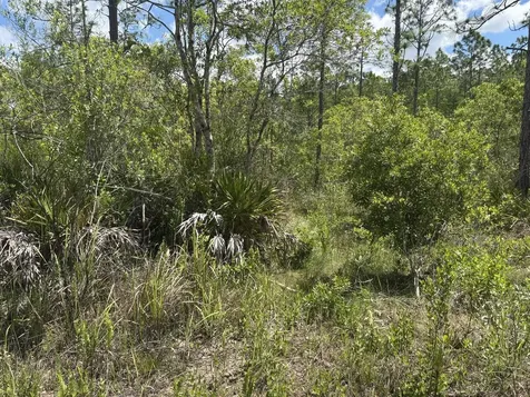 0 Holopaw Groves Road St. Cloud FL 34772