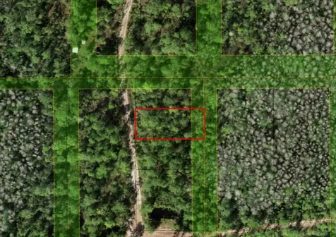 0 Holopaw Groves Road St. Cloud FL 34772