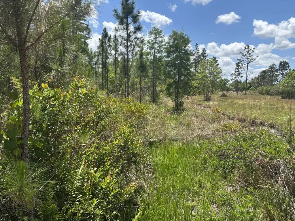 0 Holopaw Groves Road St. Cloud FL 34772