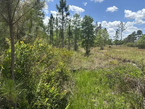 0 Holopaw Groves Road St. Cloud FL 34772