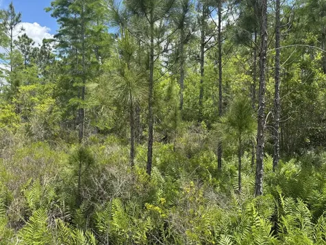 0 Holopaw Groves Road St. Cloud FL 34772