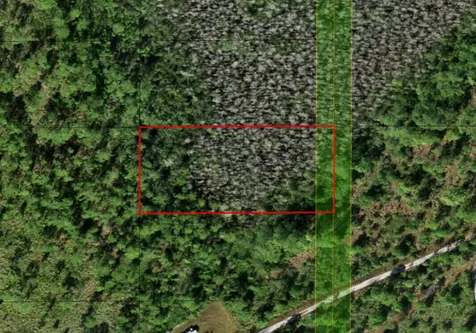 0 Holopaw Groves Road St. Cloud FL 34772