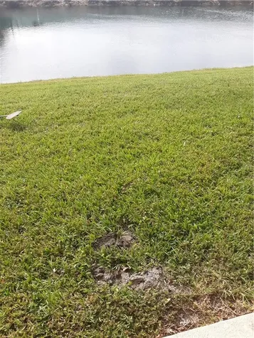 9082 Plymouth Place Tamarac FL 33321