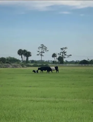 8105 SW Kanner Highway Indiantown FL 34956