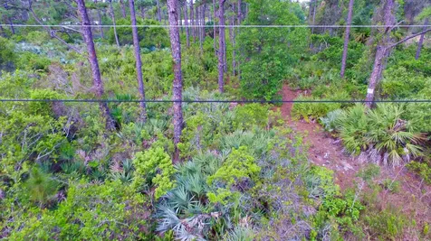 00 Bald Cypress Trail Fort Pierce FL 34951