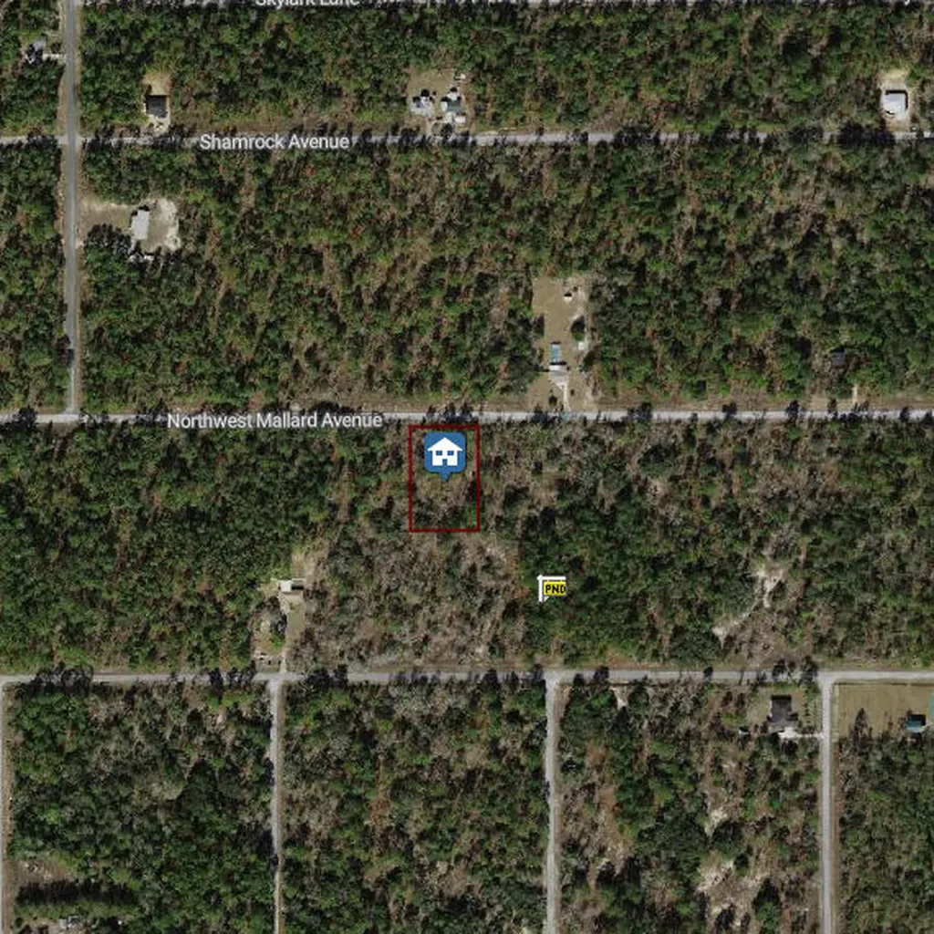 00000 NW Mallard Avenue Dunnellon FL 34431