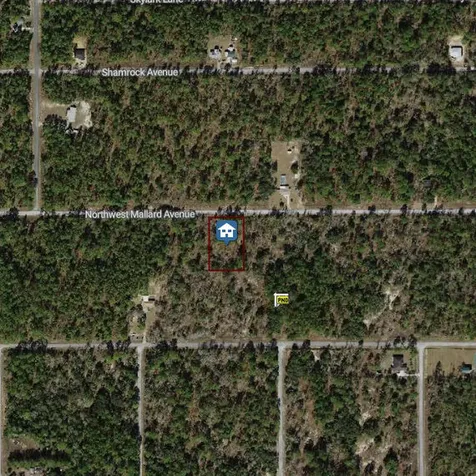 00000 NW Mallard Avenue Dunnellon FL 34431