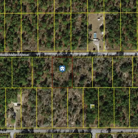 00000 NW Mallard Avenue Dunnellon FL 34431