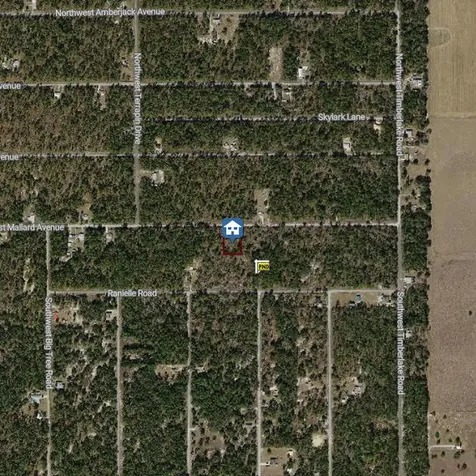 00000 NW Mallard Avenue Dunnellon FL 34431