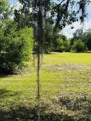 19636 NW 272nd Street Okeechobee FL 34972