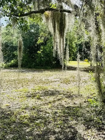 19636 NW 272nd Street Okeechobee FL 34972