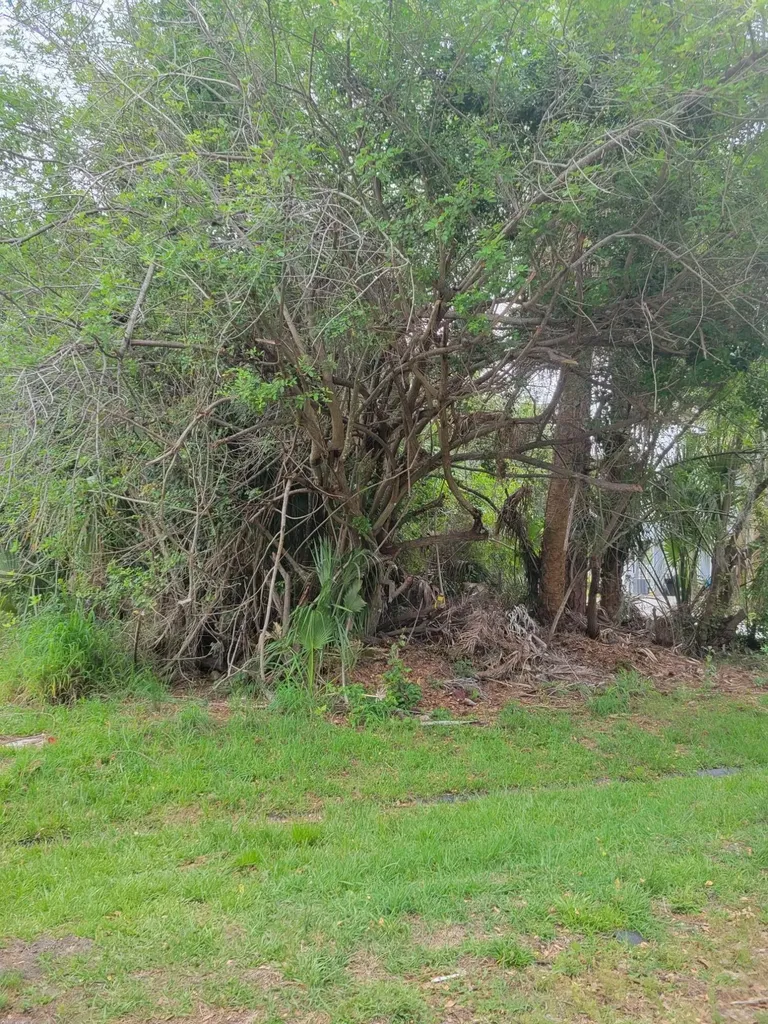 1109 SW Abingdon Avenue S Port St Lucie FL 34953
