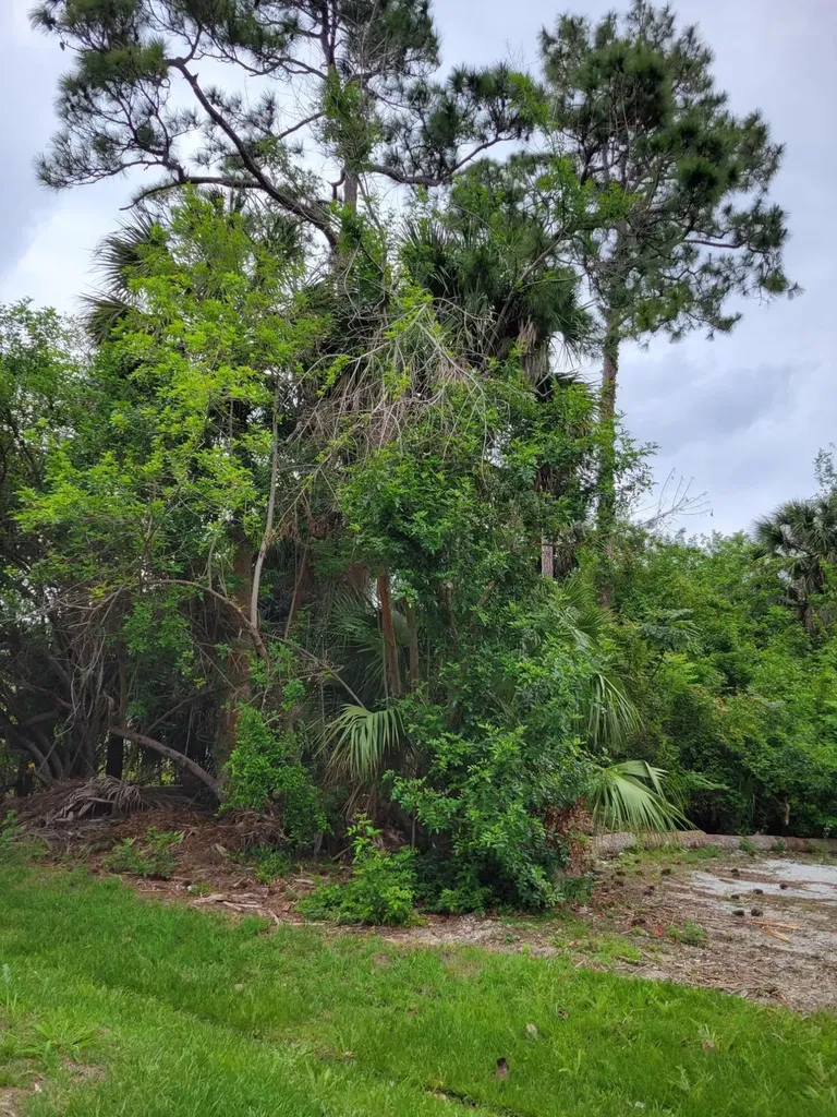 1109 SW Abingdon Avenue S Port St Lucie FL 34953
