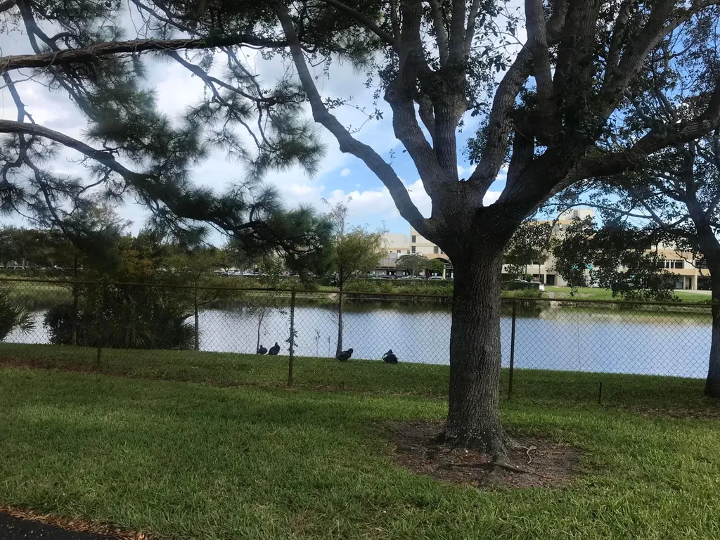 431 Jupiter Lakes Boulevard Jupiter FL 33458